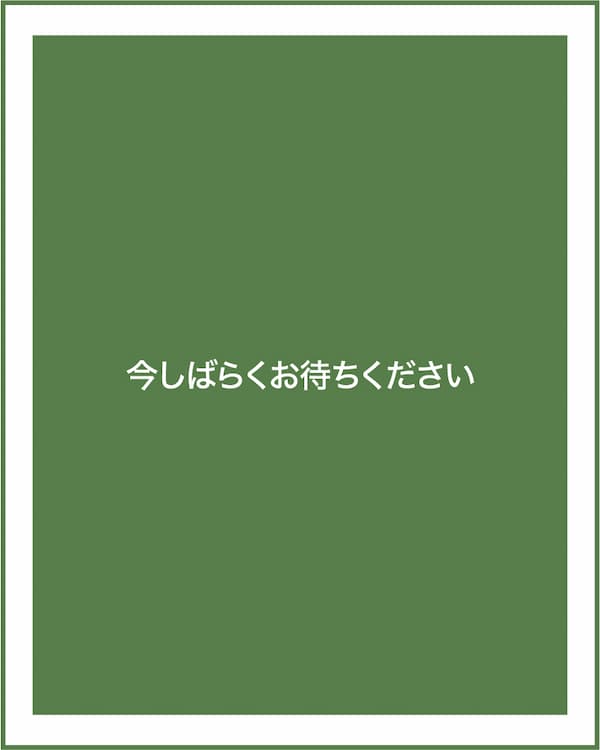 レンタカー利用モデルケース